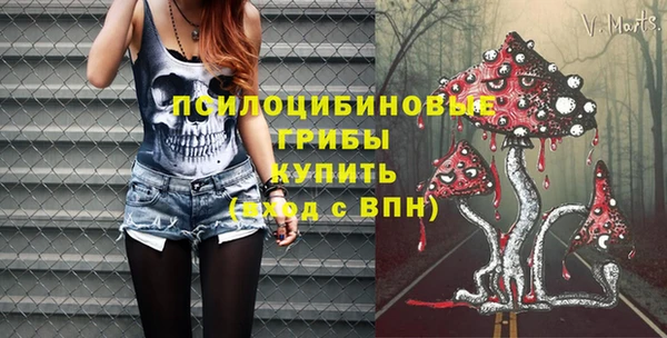 прущие грибы Горняк