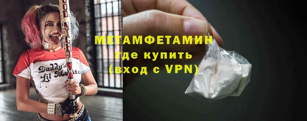 прущие грибы Горняк