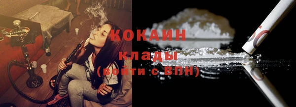 прущие грибы Горняк