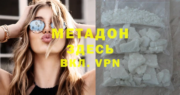 прущие грибы Горняк