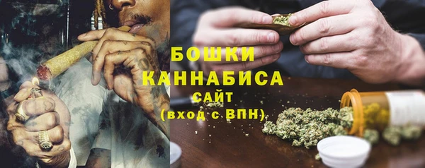 прущие грибы Горняк