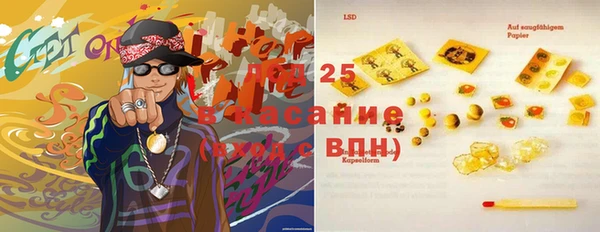 прущие грибы Горняк