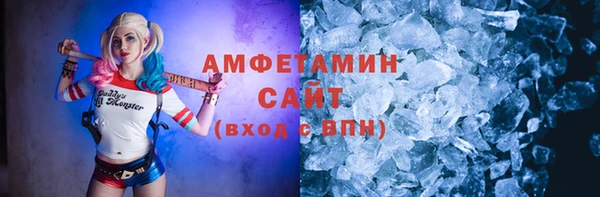 прущие грибы Горняк