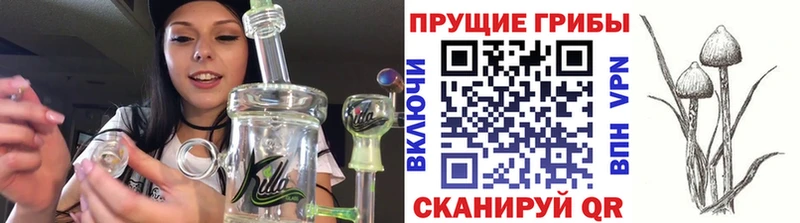 blacksprut зеркало  купить наркоту  Могоча  Галлюциногенные грибы Cubensis 
